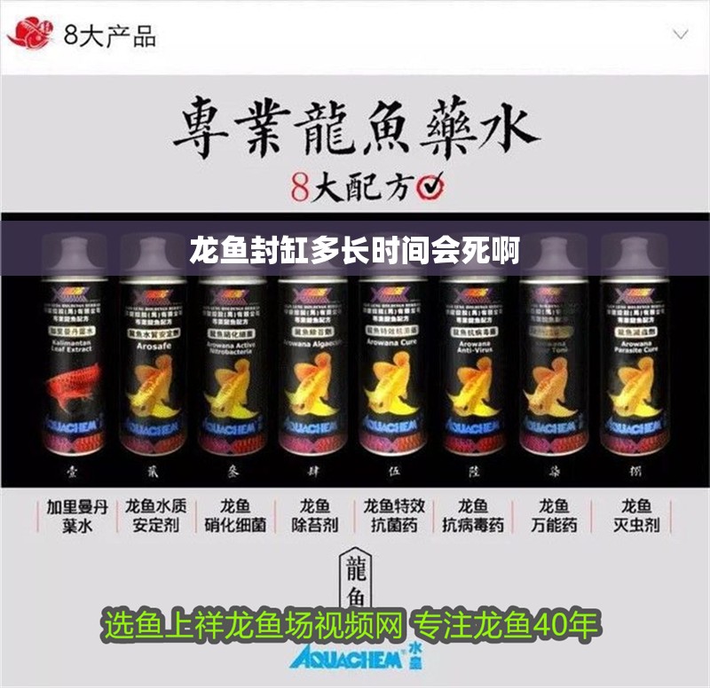 龍魚封缸多長時間會死啊