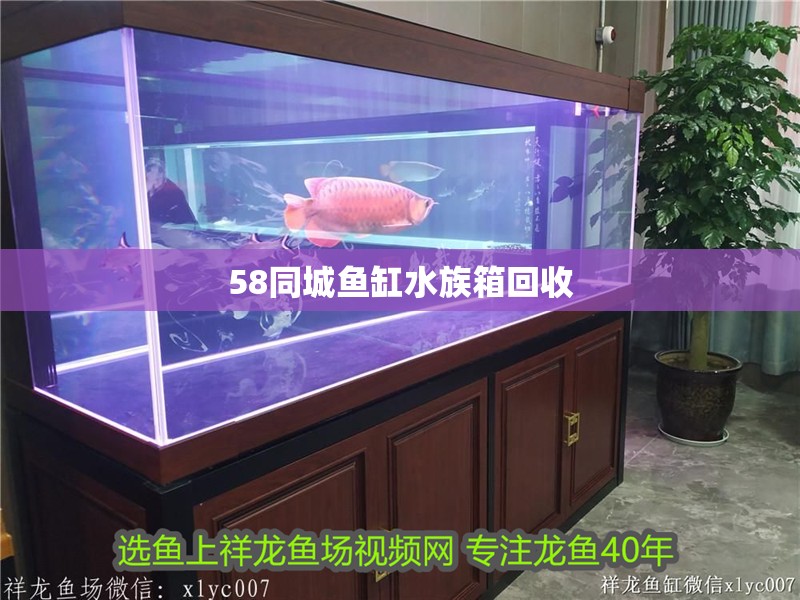 58同城魚缸水族箱回收