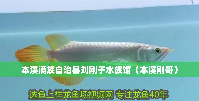 本溪滿族自治縣劉剛子水族館（本溪剛哥）