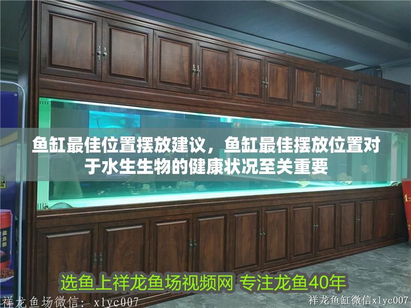 魚缸最佳位置擺放建議，魚缸最佳擺放位置對(duì)于水生生物的健康狀況至關(guān)重要