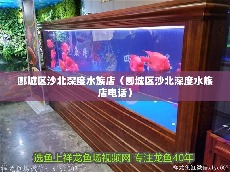 郾城區沙北深度水族店（郾城區沙北深度水族店電話）
