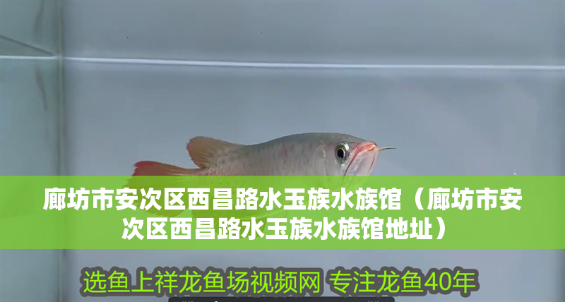 廊坊市安次區西昌路水玉族水族館（廊坊市安次區西昌路水玉族水族館地址）