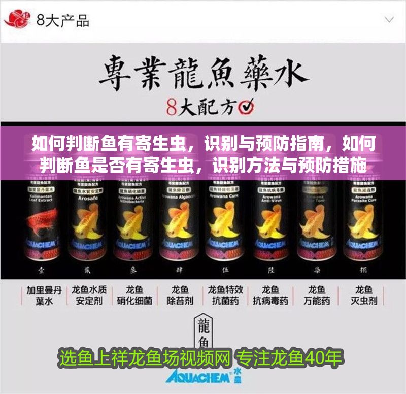 如何判斷魚有寄生蟲,識別與預防指南,如何判斷魚是否有寄生蟲,識別方法與預防措施 龍魚常見疾病 第1張 如何判斷魚有寄生蟲,識別與預防指南,如何判斷魚是否有寄生蟲,識別方法與預防措施 如何判斷魚有寄生蟲,識別與預防指南,如何判斷魚是否有寄生蟲,識別方法與預防措施 龍魚常見疾病 第1張