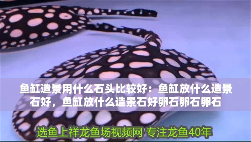 魚缸造景用什么石頭比較好：魚缸放什么造景石好，魚缸放什么造景石好卵石卵石卵石