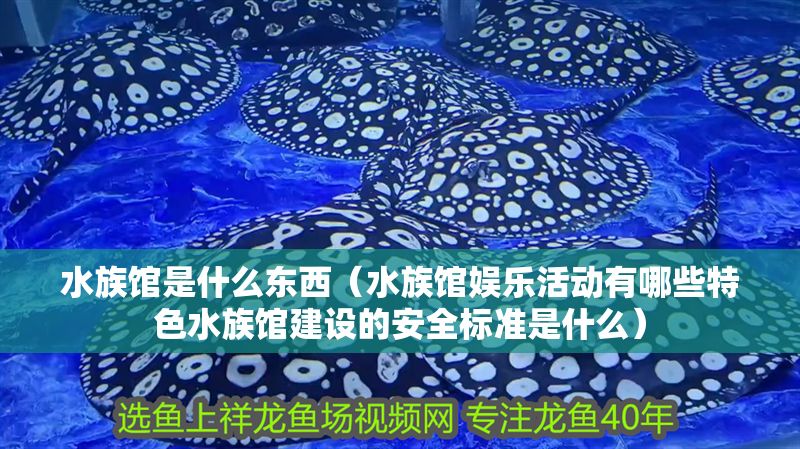 水族館是什么東西（水族館娛樂活動有哪些特色水族館建設的安全標準是什么）