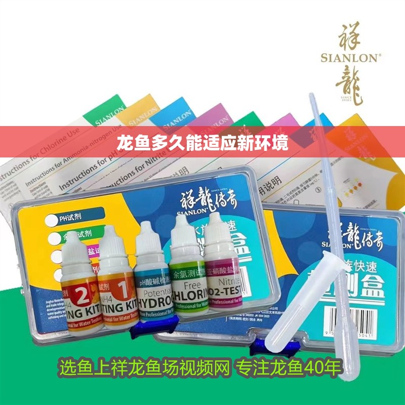 龍魚多久能適應新環境 龍魚多久能適應新環境 龍魚百科 第4張