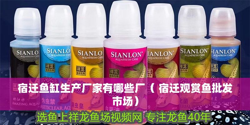 宿遷魚缸生產(chǎn)廠家有哪些廠（ 宿遷觀賞魚批發(fā)市場）