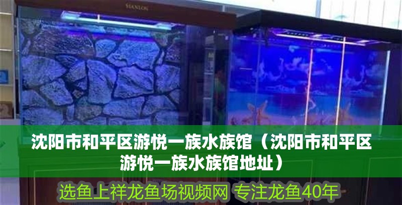 沈陽市和平區游悅一族水族館（沈陽市和平區游悅一族水族館地址） 沈陽市和平區游悅一族水族館（沈陽市和平區游悅一族水族館地址） 全國水族館企業名錄 第2張