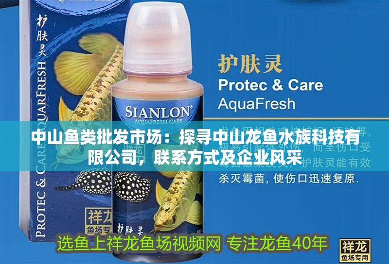 中山魚類批發(fā)市場：探尋中山龍魚水族科技有限公司，聯(lián)系方式及企業(yè)風(fēng)采