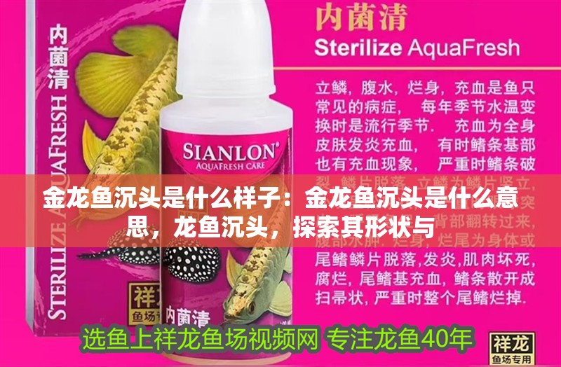 金龍魚沉頭是什么樣子：金龍魚沉頭是什么意思，龍魚沉頭，探索其形狀與 金龍魚沉頭是什么樣子：金龍魚沉頭是什么意思，龍魚沉頭，探索其形狀與 水族問答