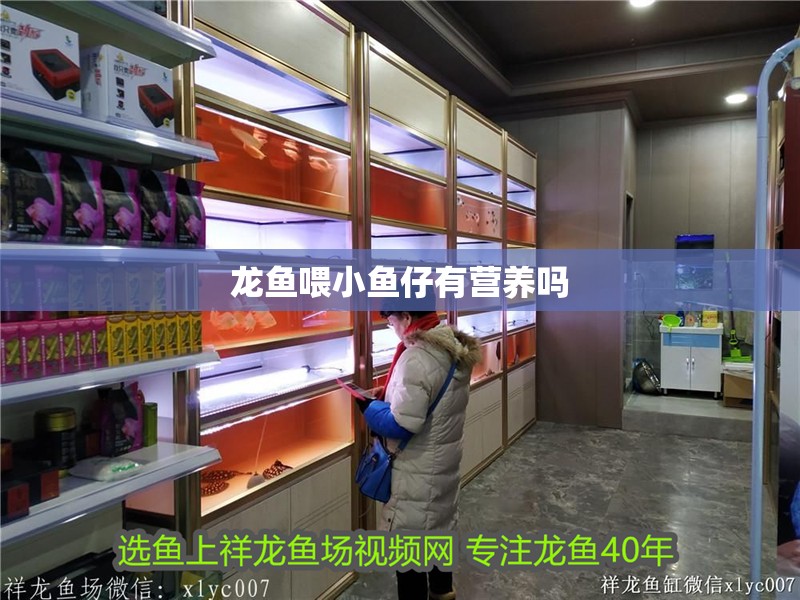 龍魚喂小魚仔有營養嗎