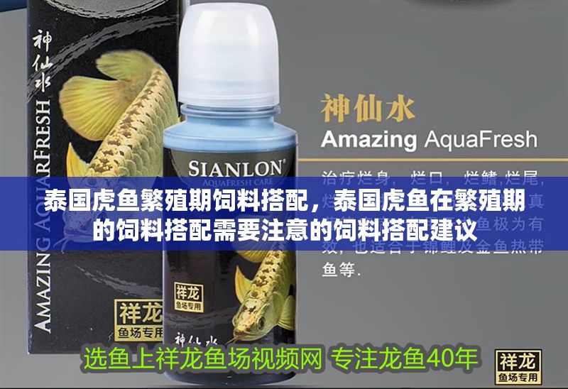 泰國虎魚繁殖期飼料搭配，泰國虎魚在繁殖期的飼料搭配需要注意的飼料搭配建議