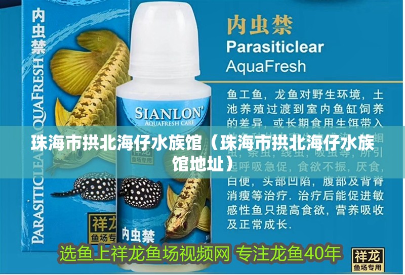 珠海市拱北海仔水族館（珠海市拱北海仔水族館地址）
