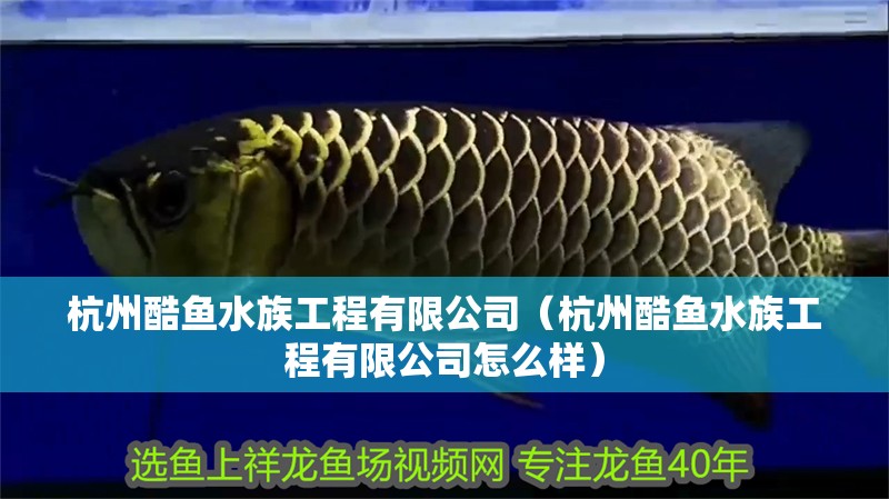 杭州酷魚水族工程有限公司（杭州酷魚水族工程有限公司怎么樣） 杭州酷魚水族工程有限公司（杭州酷魚水族工程有限公司怎么樣） 全國水族館企業名錄 第2張