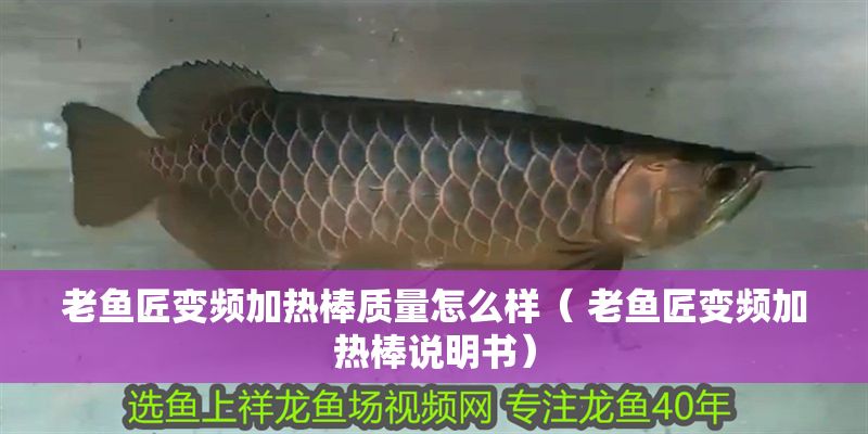 老魚匠變頻加熱棒質量怎么樣（ 老魚匠變頻加熱棒說明書）