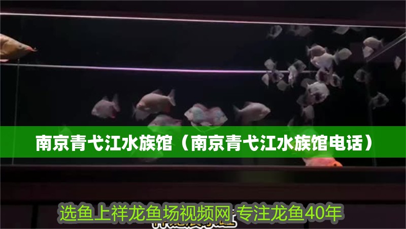 南京青弋江水族館（南京青弋江水族館電話）