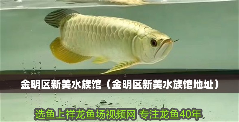 金明區(qū)新美水族館（金明區(qū)新美水族館地址）