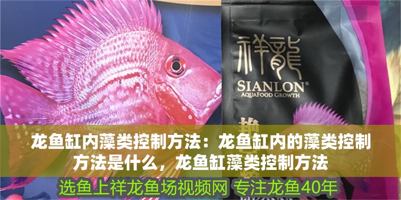 龍魚缸內(nèi)藻類控制方法：龍魚缸內(nèi)的藻類控制方法是什么，龍魚缸藻類控制方法 龍魚缸內(nèi)藻類控制方法：龍魚缸內(nèi)的藻類控制方法是什么，龍魚缸藻類控制方法 龍魚百科