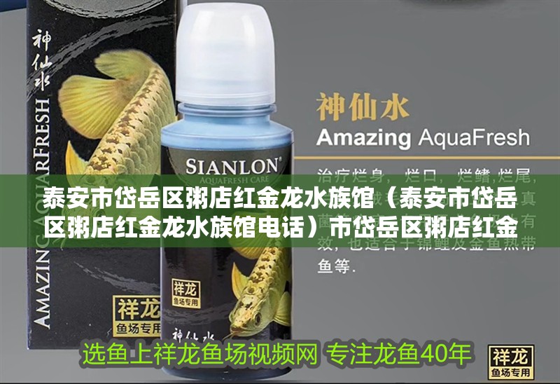 泰安市岱岳區(qū)粥店紅金龍水族館（泰安市岱岳區(qū)粥店紅金龍水族館電話）市岱岳區(qū)粥店紅金龍水族館，探索海洋奇觀，享受親 泰安市岱岳區(qū)粥店紅金龍水族館（泰安市岱岳區(qū)粥店紅金龍水族館電話）市岱岳區(qū)粥店紅金龍水族館，探索海洋奇觀，享受親 全國(guó)水族館企業(yè)名錄 第2張