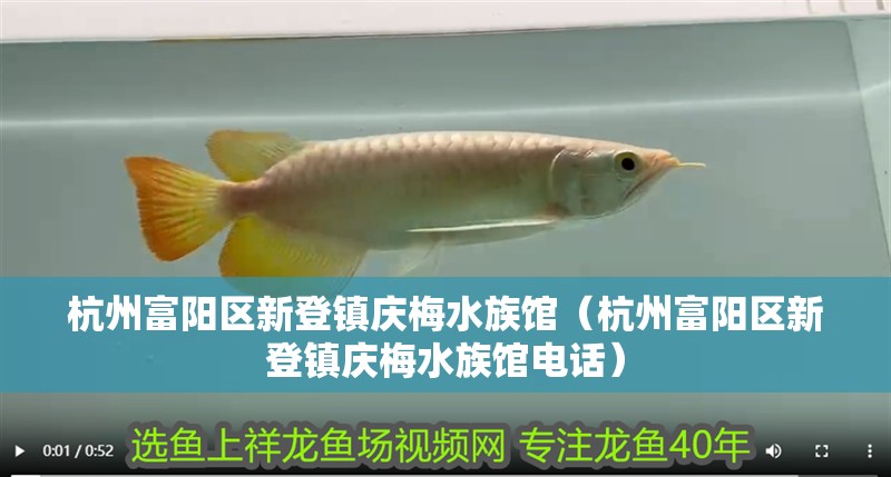 杭州富陽區(qū)新登鎮(zhèn)慶梅水族館（杭州富陽區(qū)新登鎮(zhèn)慶梅水族館電話）