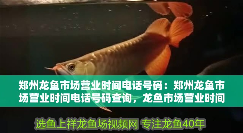 鄭州龍魚市場營業時間電話號碼：鄭州龍魚市場營業時間電話號碼查詢，龍魚市場營業時間