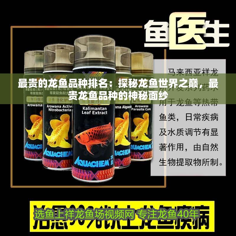 最貴的龍魚品種排名：探秘龍魚世界之巔，最貴龍魚品種的神秘面紗