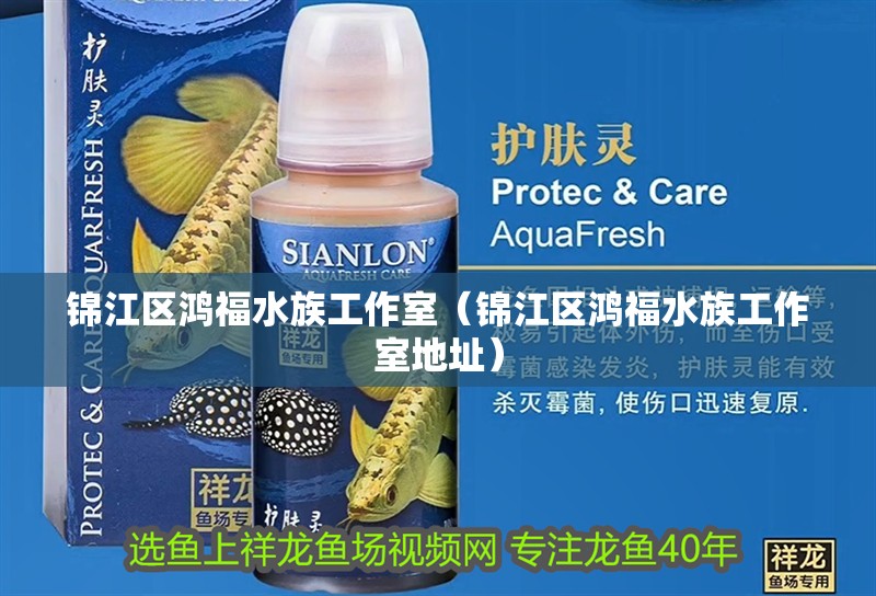 錦江區鴻福水族工作室(錦江區鴻福水族工作室地址) 全國水族館企業名錄 第3張 錦江區鴻福水族工作室(錦江區鴻福水族工作室地址) 錦江區鴻福水族工作室(錦江區鴻福水族工作室地址) 全國水族館企業名錄 第3張