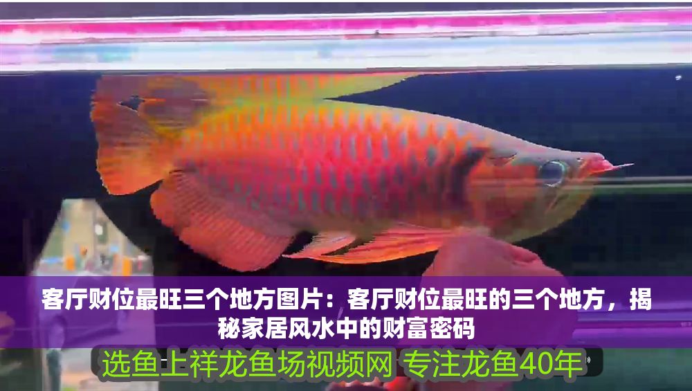 客廳財位最旺三個地方圖片：客廳財位最旺的三個地方，揭秘家居風水中的財富密碼