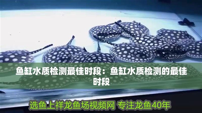 魚(yú)缸水質(zhì)檢測(cè)最佳時(shí)段：魚(yú)缸水質(zhì)檢測(cè)的最佳時(shí)段