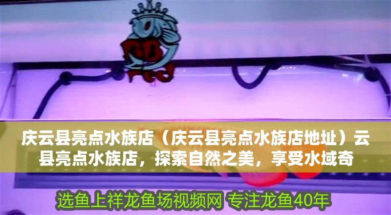 慶云縣亮點水族店(慶云縣亮點水族店地址)云縣亮點水族店,探索自然之美,享受水域奇 全國水族館企業名錄 第2張 慶云縣亮點水族店(慶云縣亮點水族店地址)云縣亮點水族店,探索自然之美,享受水域奇 慶云縣亮點水族店(慶云縣亮點水族店地址)云縣亮點水族店,探索自然之美,享受水域奇 全國水族館企業名錄 第2張