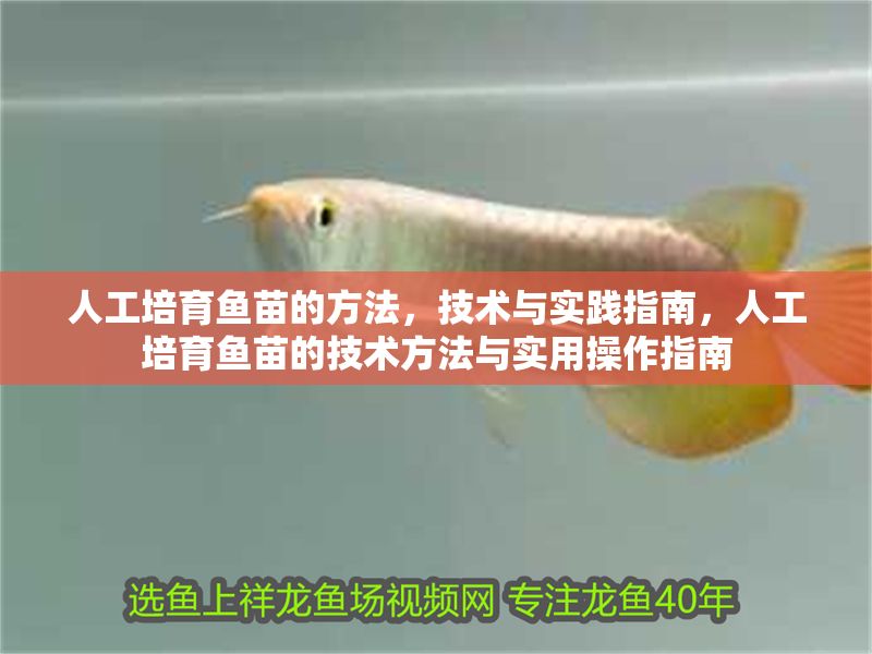 人工培育魚苗的方法，技術與實踐指南，人工培育魚苗的技術方法與實用操作指南 人工培育魚苗的方法，技術與實踐指南，人工培育魚苗的技術方法與實用操作指南 龍魚常見疾病 第1張