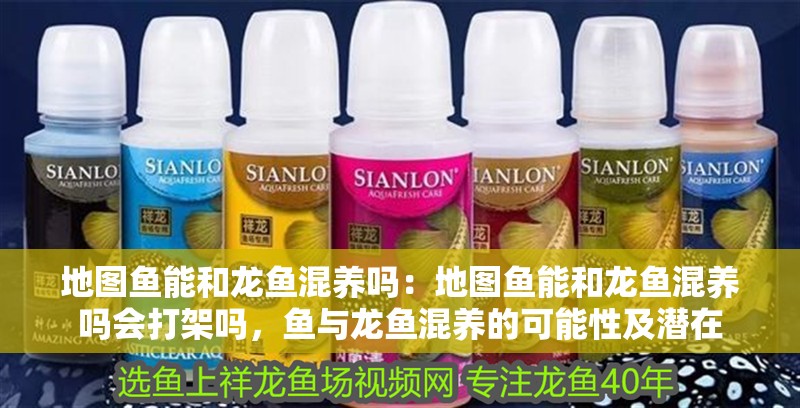 地圖魚(yú)能和龍魚(yú)混養(yǎng)嗎：地圖魚(yú)能和龍魚(yú)混養(yǎng)嗎會(huì)打架嗎，魚(yú)與龍魚(yú)混養(yǎng)的可能性及潛在