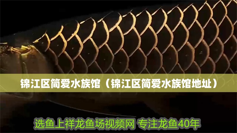 錦江區簡愛水族館（錦江區簡愛水族館地址）
