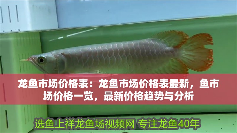 魚缸應該擺放在家里的什么位置好(家里魚缸適合擺放什么位置)