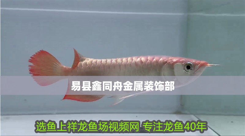 易縣鑫同舟金屬裝飾部 易縣鑫同舟金屬裝飾部 全國水族館企業名錄 第2張