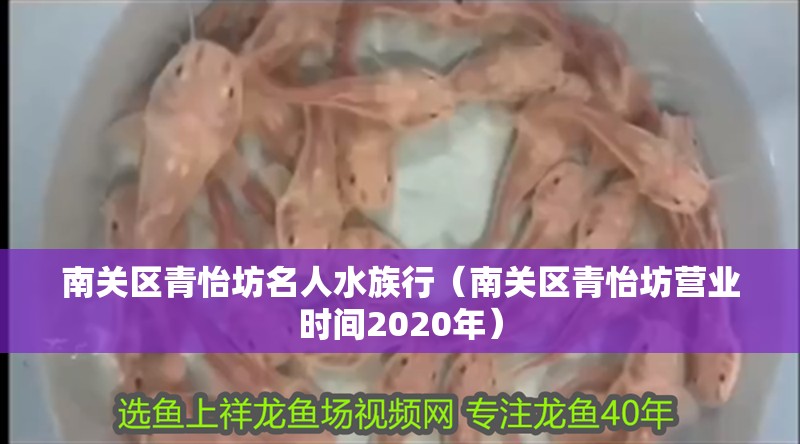 南關區青怡坊名人水族行（南關區青怡坊營業時間2020年） 南關區青怡坊名人水族行（南關區青怡坊營業時間2020年） 全國水族館企業名錄 第2張