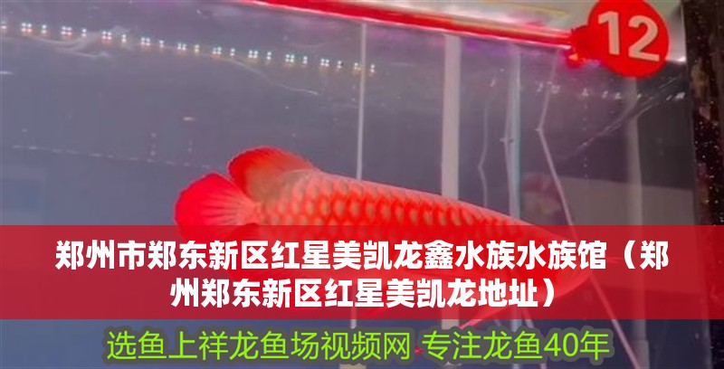 鄭州市鄭東新區(qū)紅星美凱龍?chǎng)嗡逅屦^（鄭州鄭東新區(qū)紅星美凱龍地址）