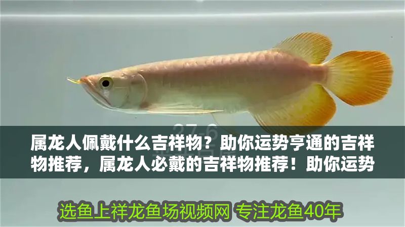 屬龍人佩戴什么吉祥物？助你運勢亨通的吉祥物推薦，屬龍人必戴的吉祥物推薦！助你運勢亨通、龍氣沖天