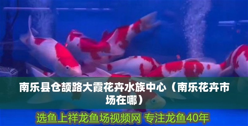 南樂縣倉頡路大霞花卉水族中心（南樂花卉市場在哪）
