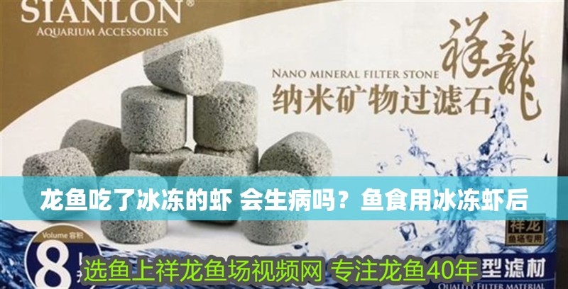 龍魚吃了冰凍的蝦 會生病嗎？魚食用冰凍蝦后 龍魚吃了冰凍的蝦 會生病嗎？魚食用冰凍蝦后 龍魚百科 第4張