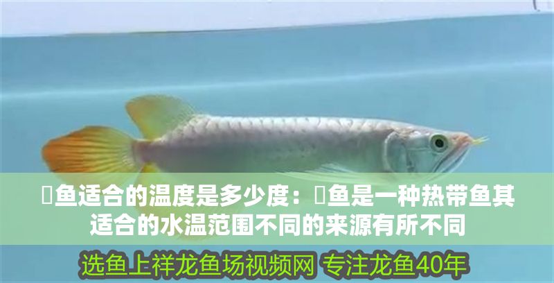 魟魚適合的溫度是多少度：魟魚是一種熱帶魚其適合的水溫范圍不同的來源有所不同 魟魚適合的溫度是多少度：魟魚是一種熱帶魚其適合的水溫范圍不同的來源有所不同 魟魚百科 第2張