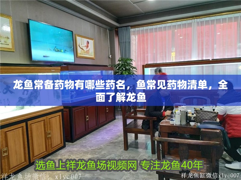 龍魚常備藥物有哪些藥名，魚常見藥物清單，全面了解龍魚