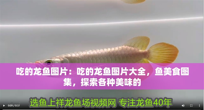 吃的龍魚圖片：吃的龍魚圖片大全，魚美食圖集，探索各種美味的