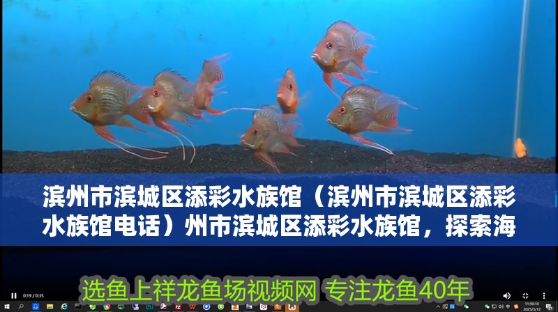 濱州市濱城區添彩水族館(濱州市濱城區添彩水族館電話)州市濱城區添彩水族館,探索海洋奧秘的絕 全國水族館企業名錄 第2張 濱州市濱城區添彩水族館(濱州市濱城區添彩水族館電話)州市濱城區添彩水族館,探索海洋奧秘的絕 濱州市濱城區添彩水族館(濱州市濱城區添彩水族館電話)州市濱城區添彩水族館,探索海洋奧秘的絕 全國水族館企業名錄 第2張