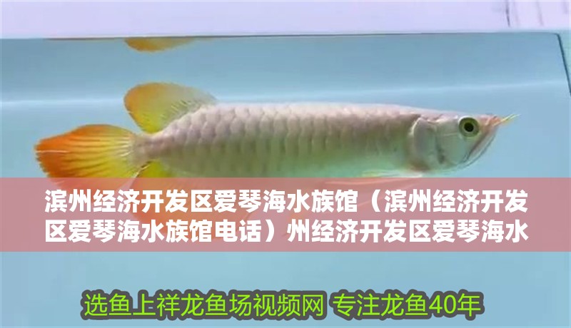 濱州經濟開發區愛琴海水族館（濱州經濟開發區愛琴海水族館電話）州經濟開發區愛琴海水族館，探索海洋奧秘的絕佳