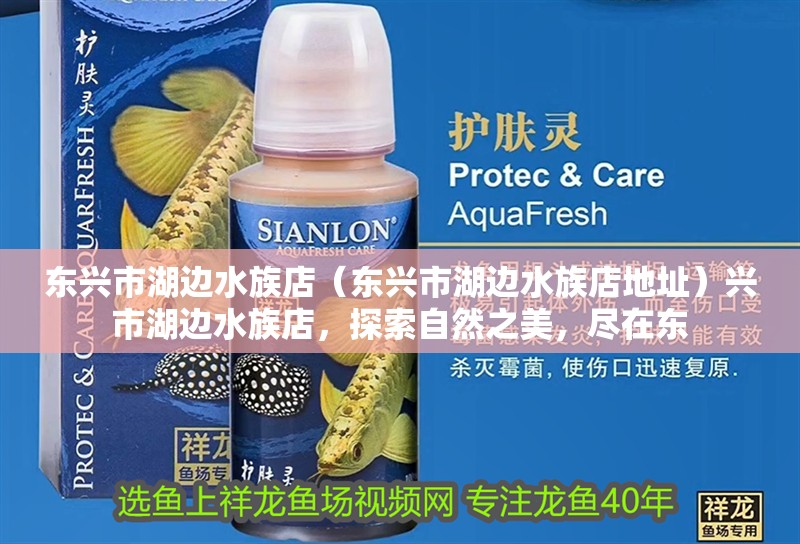 東興市湖邊水族店（東興市湖邊水族店地址）興市湖邊水族店，探索自然之美，盡在東
