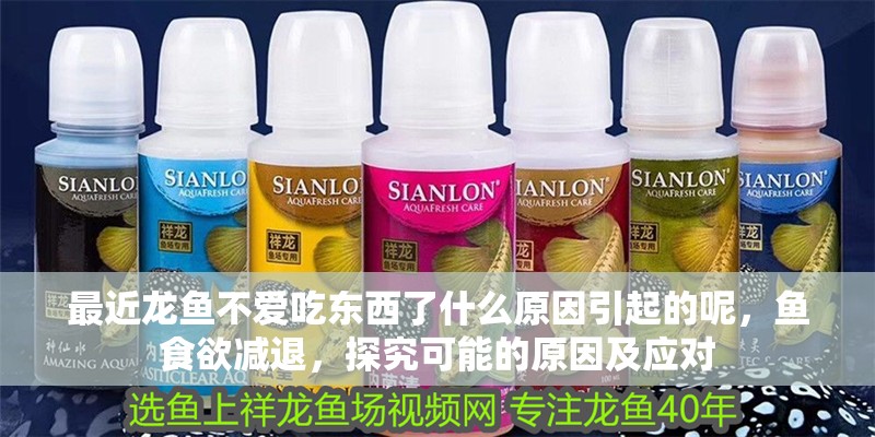 最近龍魚不愛吃東西了什么原因引起的呢，魚食欲減退，探究可能的原因及應對