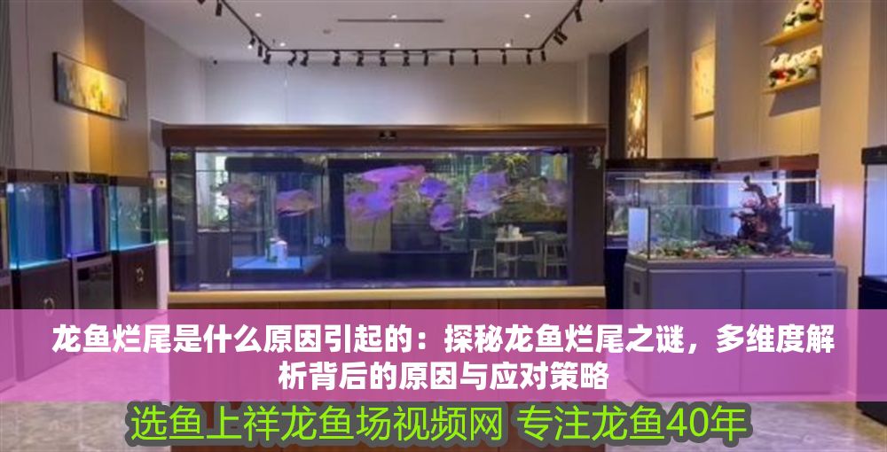 龍魚(yú)爛尾是什么原因引起的：探秘龍魚(yú)爛尾之謎，多維度解析背后的原因與應(yīng)對(duì)策略
