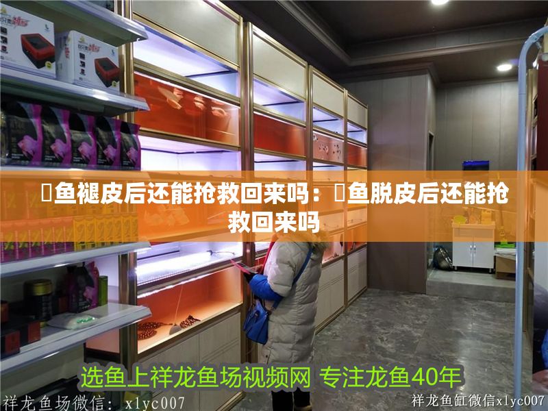 魟魚褪皮后還能搶救回來嗎：魟魚脫皮后還能搶救回來嗎