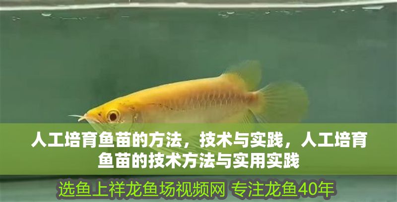 人工培育魚苗的方法，技術(shù)與實(shí)踐，人工培育魚苗的技術(shù)方法與實(shí)用實(shí)踐
